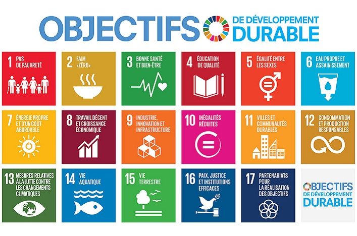 Découvre les 17 Objectifs de l’ONU au CDI