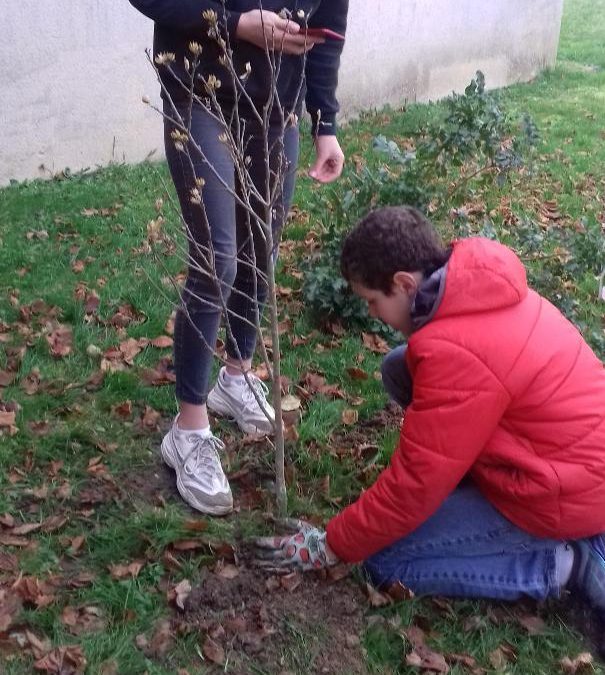 Plantation des eco-délégués