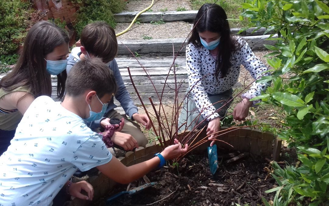 De la SVT…à la vie au jardin