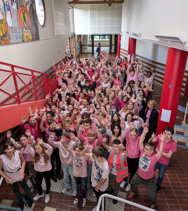 Octobre Rose au collège Pierre Belon